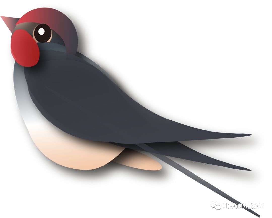 通州老城改造最新,通州违建最新消息