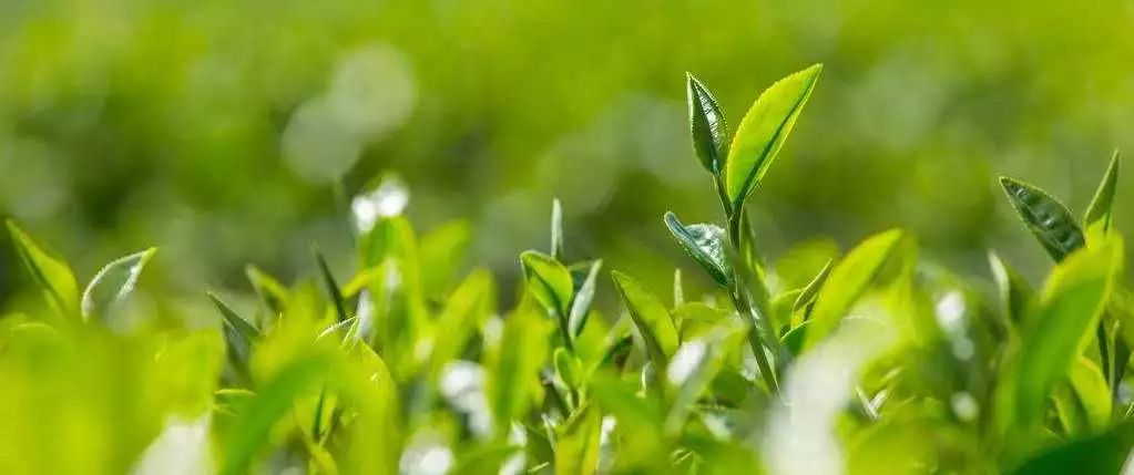 用了几天火山泥为什么还毛孔粗大,怎样用韩国进口火山泥洗脸