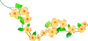 坚持是种强大的力量,坚持是克服惰性的内在动力