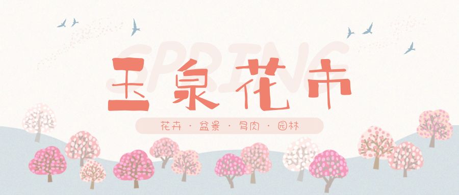 花色撩人,亲测德阳这两家花市,“花chi”去了就不想出来!