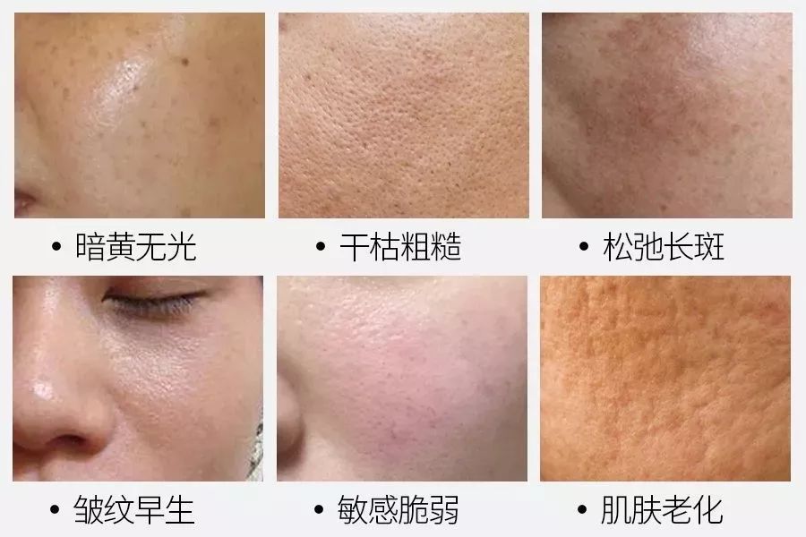 中国国货进入日本,日本国货之光