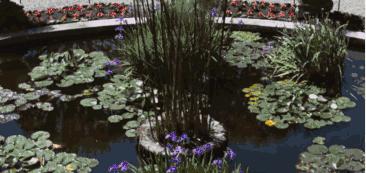 omg买它买它什么梗,omg买它原版