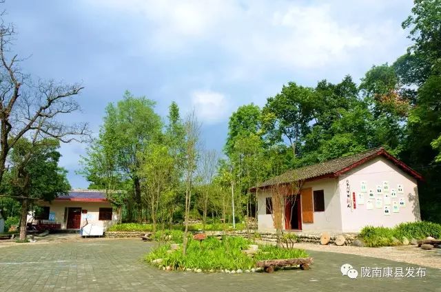 康县自驾游最新消息,康县旅游攻略自由行