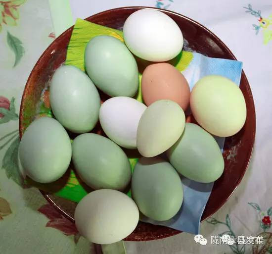 即刻出发旅游怎么样,康县自由行攻略