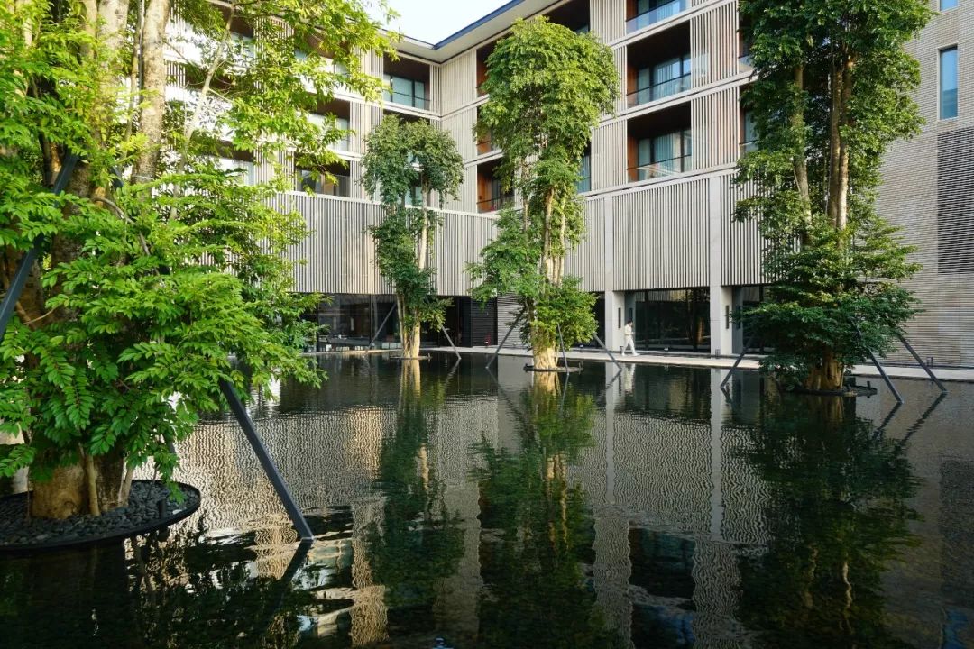 打卡厦门恒禾七尚酒店,厦门璞尚酒店点评