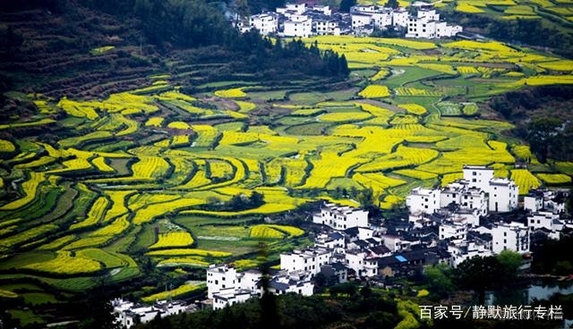 春天一定不能错过的美景,春天到了好玩的地方可多了