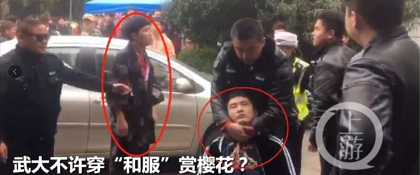 果然，一群“*独台**吉娃娃”