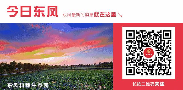 机动车维修经营备案表去哪里查询,东凤镇汽车维修店