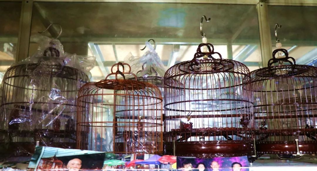 广州记忆鸟笼,一代人的广州记忆