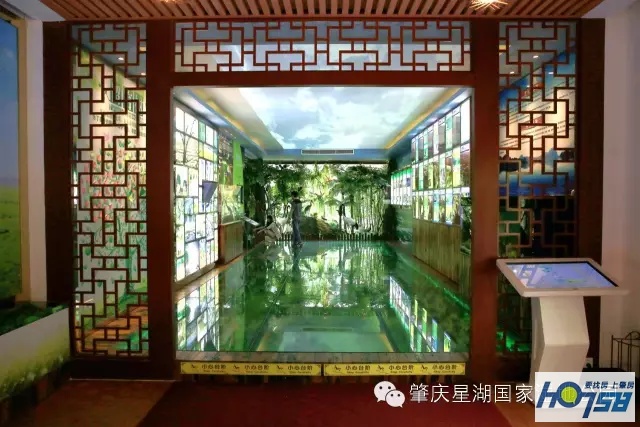 星湖国家湿地公园免费吗,广东星湖湿地风景