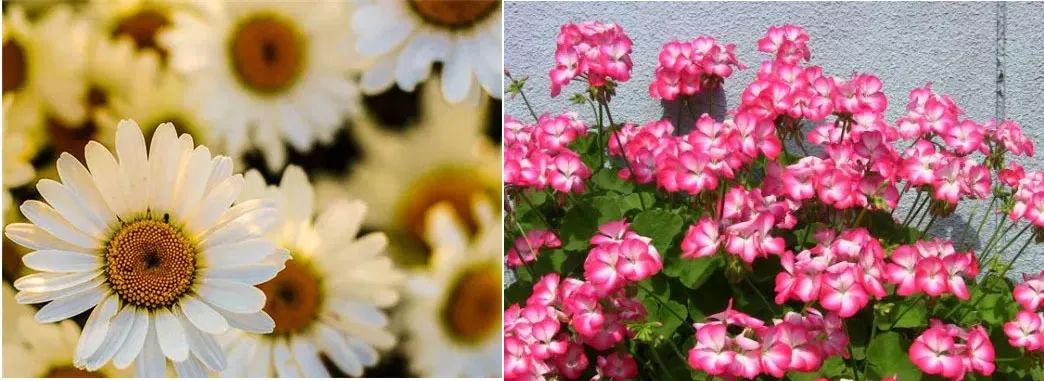 防晒1元秒杀,日本防晒爆款榜