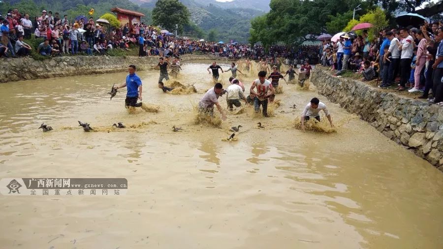 【嘿撩撩啰】壮族三月三,梧州等你撩!