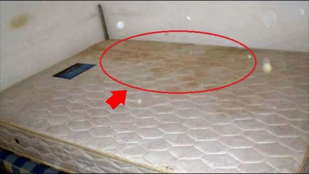 这些习惯可能正在偷走你的健康,这些生活习惯正在偷走你的免疫力