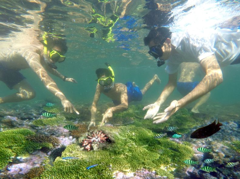 三亚半山半岛洲际水景房,洲际酒店水景房