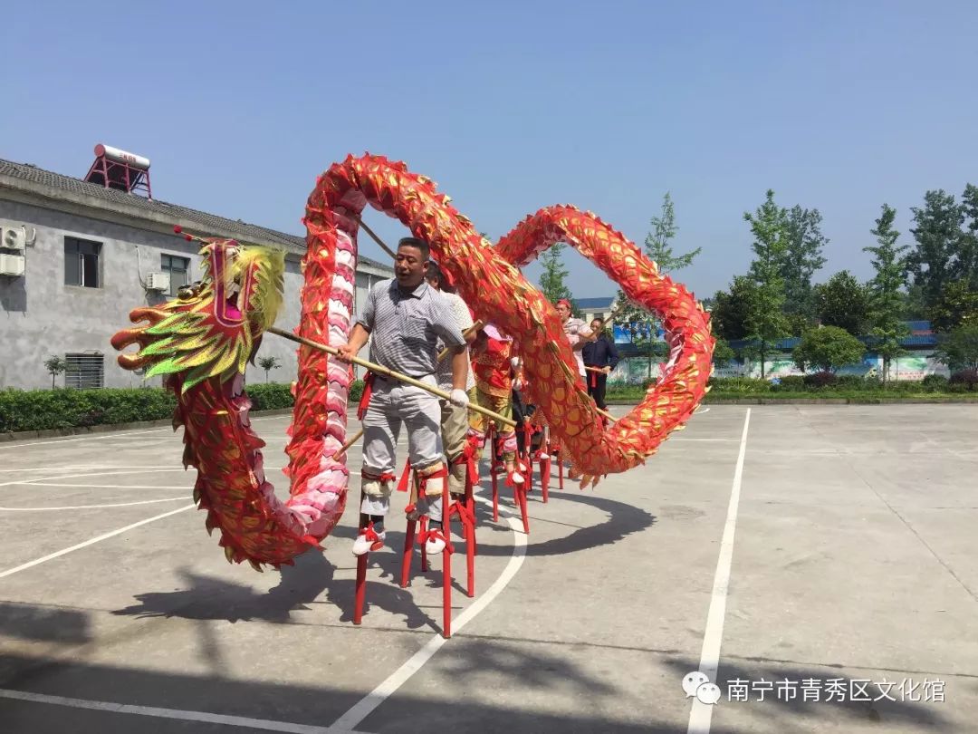 群龙聚首贺新春,青秀区国际传统舞龙邀请赛