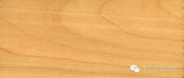 识别木材优劣家居人必备基本功,木材识别基础知识