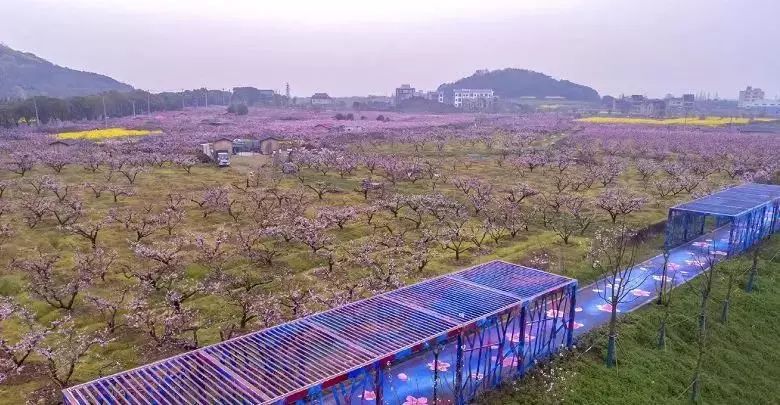 无锡最值得打卡的网红街,无锡梁溪区网红免费打卡地