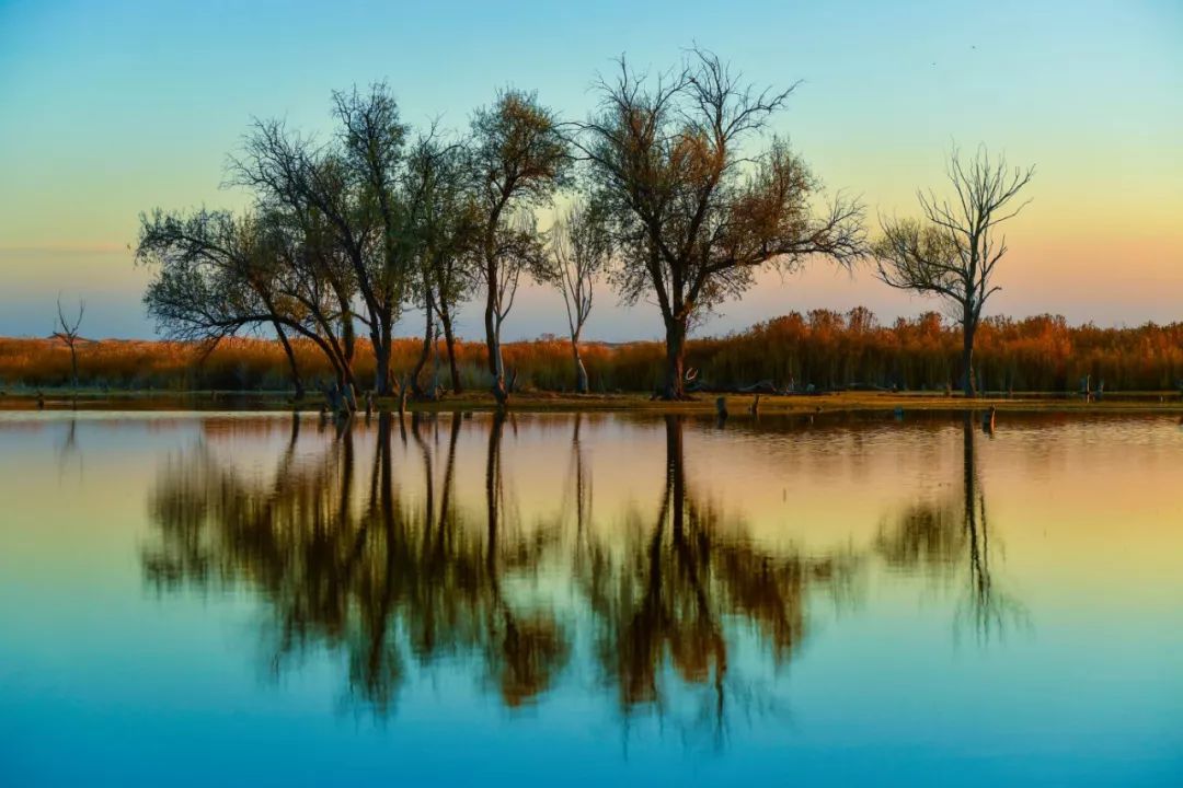 沙漠一年出现的奇观,沙漠黄河的奇景