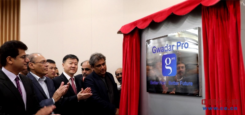 中国驻卡拉奇领馆总领事,中国驻阿富汗外交官王愚