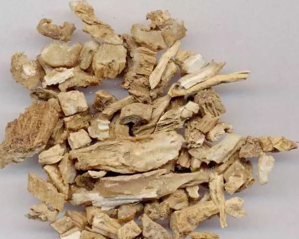 胡博士说中草药,胡博士说中医241集