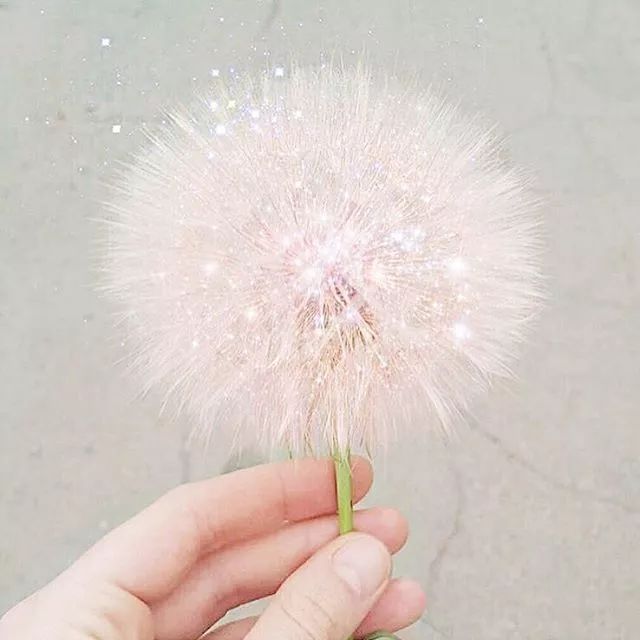 夏日护肤好物平价推荐,韩国夏季干皮平价护肤品推荐