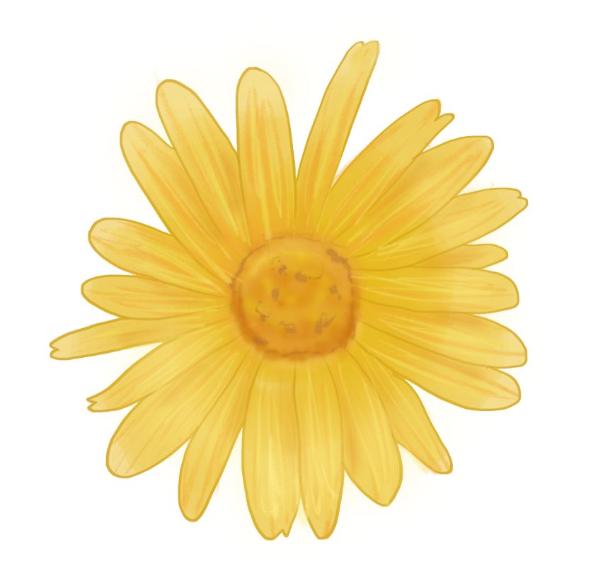 孕妈三大现象,孕妈出现这3种情况