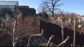 耗资1.5亿的阴阳太极状宫殿，毛二星二的丹麦新家也是太美好