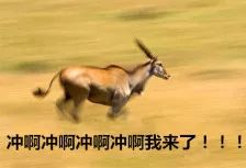 最大的乐高授权店,lego乐高授权专卖店