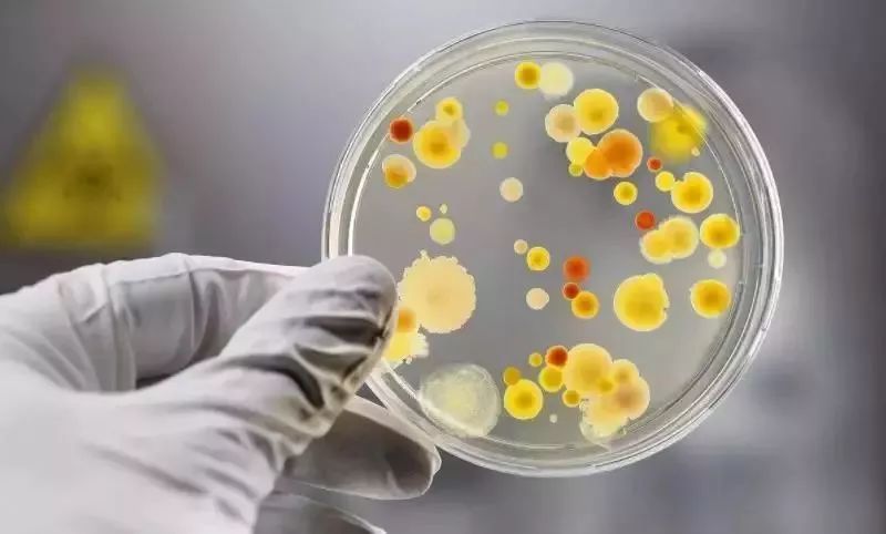 卫生纸可以擦嘴吗？原来这些年都错了