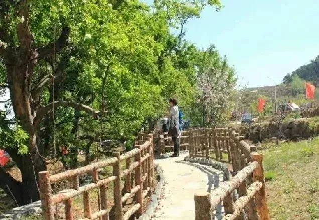 最新通告!清明假期,河北这些地儿不能去,因为……