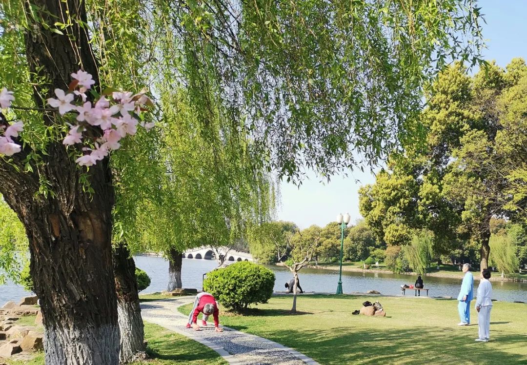 爬行运动专家讲解,中老年适合爬行运动