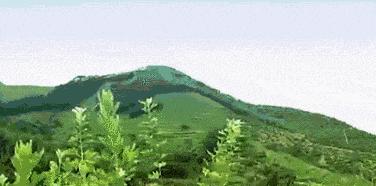 用它泡脚能赶走5种病,一个泡脚小药方赶走多种病