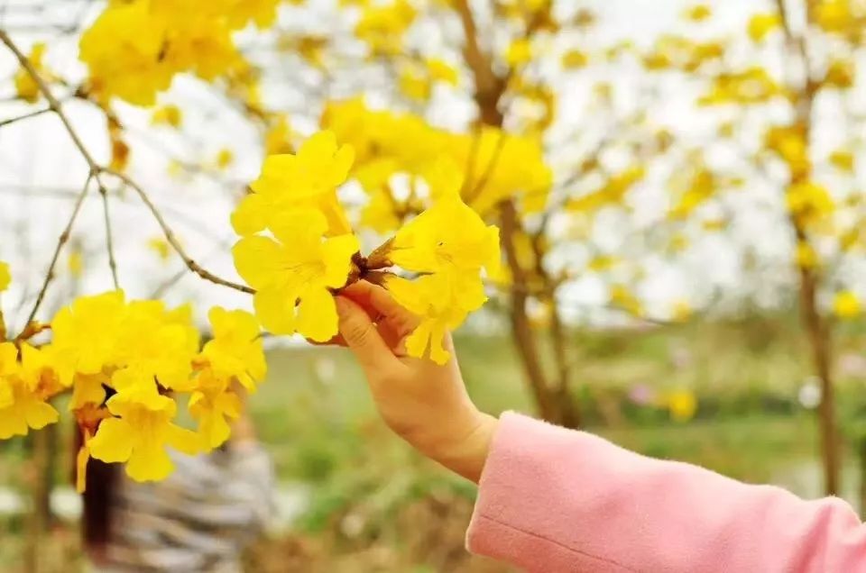 诏安小云水谣,诏安旅游团云水谣景区