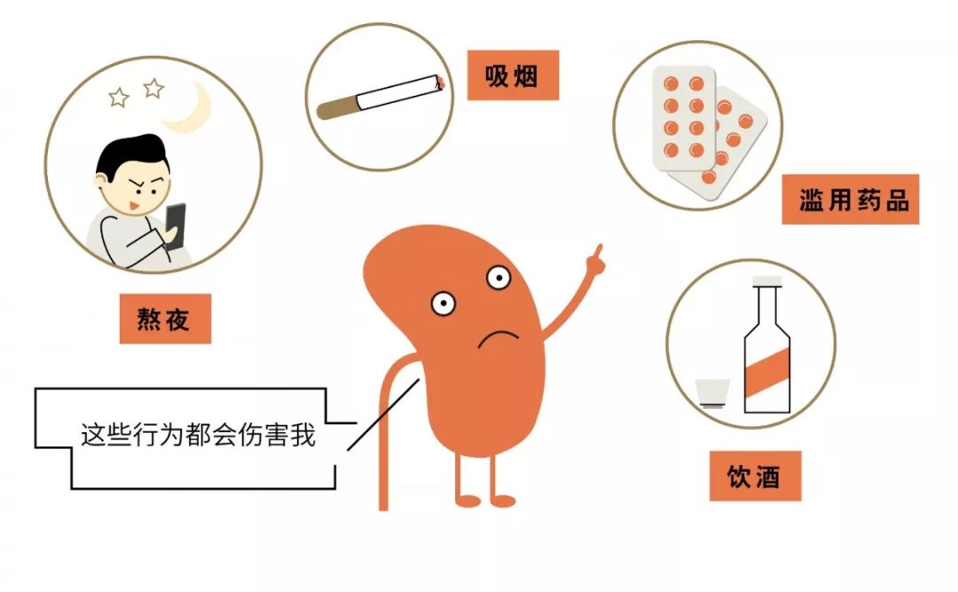 【名医】“我”是你的肾！最讨厌你吃太咸、熬夜……
