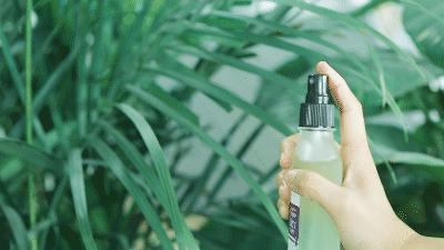 蚊子驱蚊驱虫,杀虫剂对蚊子有效又安全