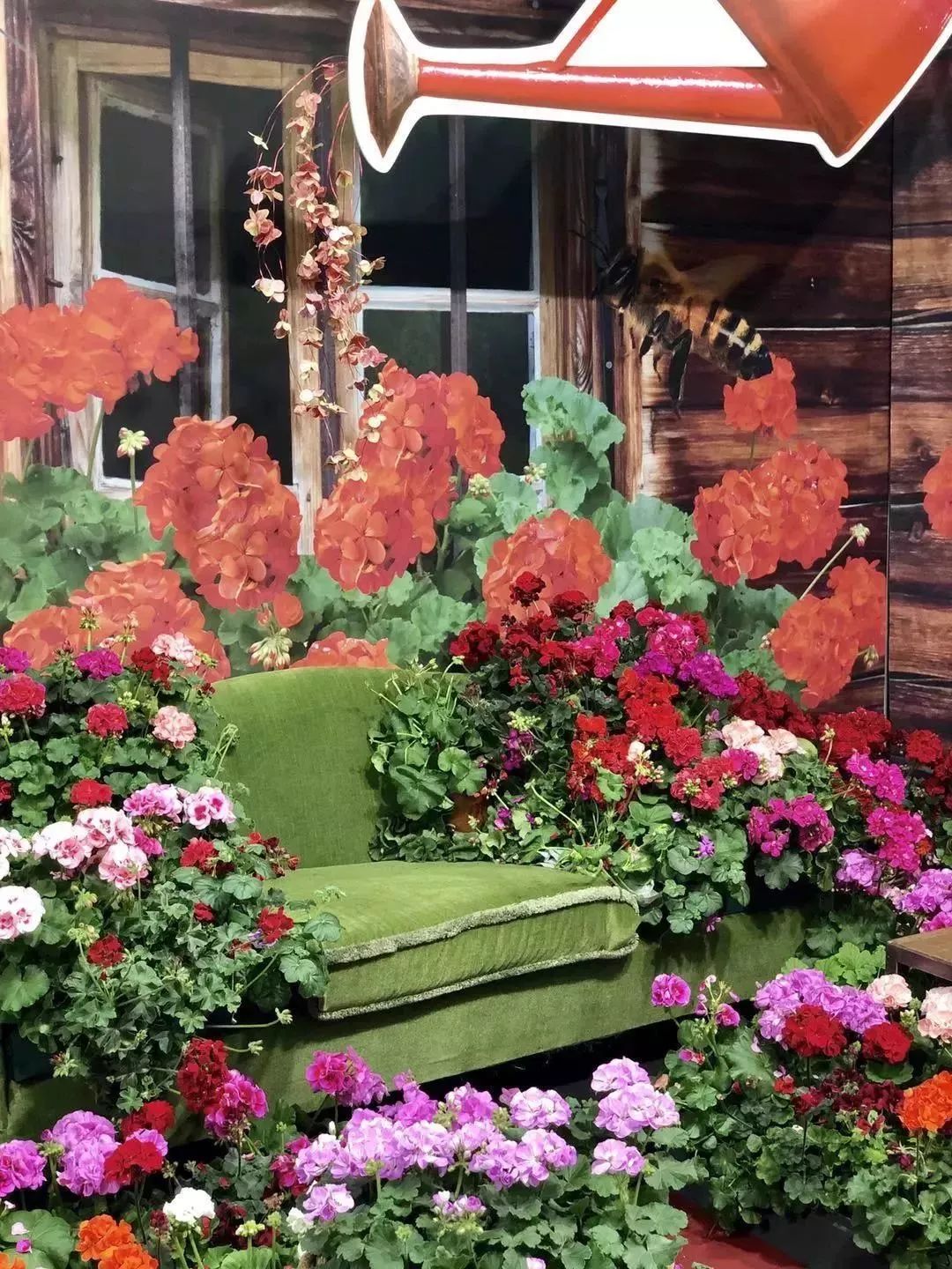 再也不羡慕别人家的果园,再也不用羡慕人家种的花