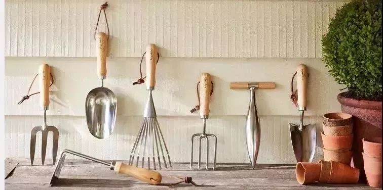 再也不羡慕别人家的果园,再也不用羡慕人家种的花