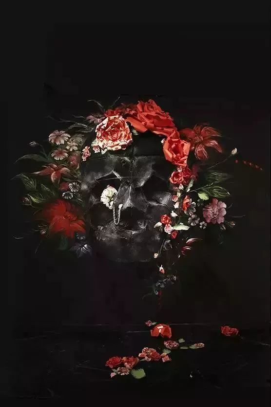 再也不羡慕别人家的果园,再也不用羡慕人家种的花