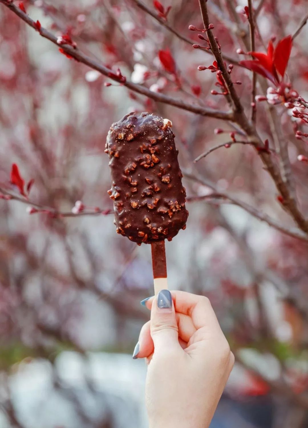 7.11便利店什么雪糕值得买,便利店雪糕品牌选哪些