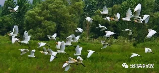 清明小长假出去耍这份攻略请收藏,清明长假旅游攻略北方