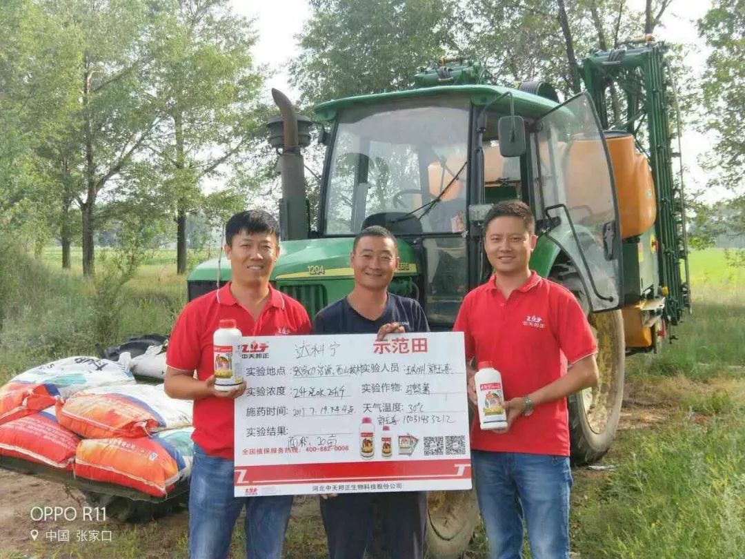 达科宁杀菌剂,达科宁百菌清杀菌剂