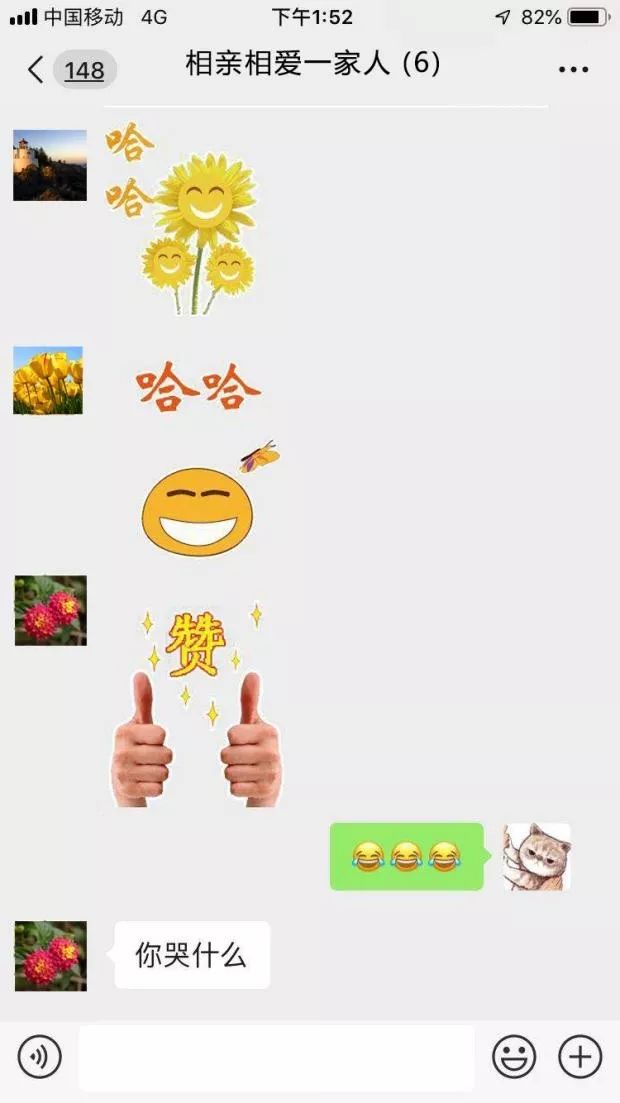 真皮说法|群生百态，不如狗带！