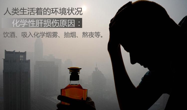 天然强肝剂护肝排毒,护肝排毒产品