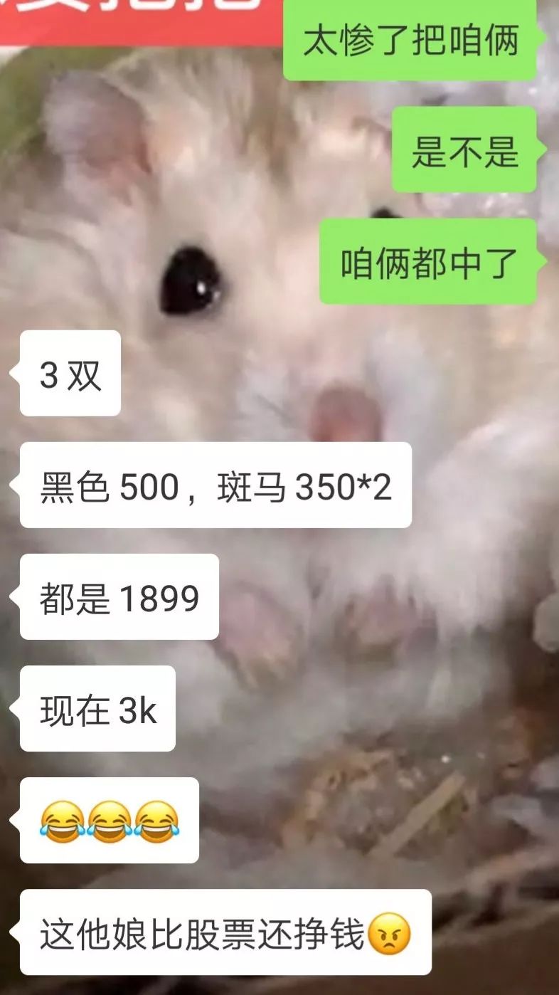 炒币亏钱,炒币亏了还坚持的人