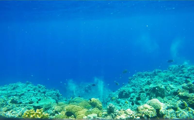 鍗楁捣鑸伴槦姘村叺瑙嗛,娴峰啗鍗楁捣鑸伴槦姘村叺瑙嗛