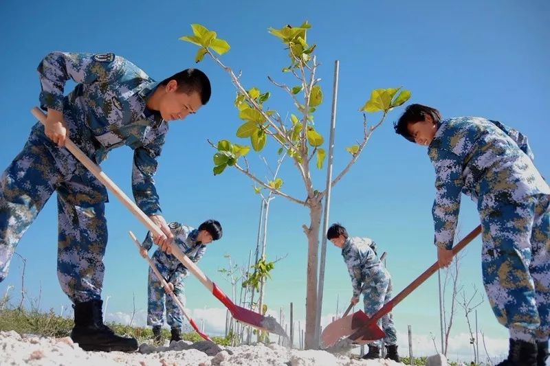 鍗楁捣鑸伴槦姘村叺瑙嗛,娴峰啗鍗楁捣鑸伴槦姘村叺瑙嗛