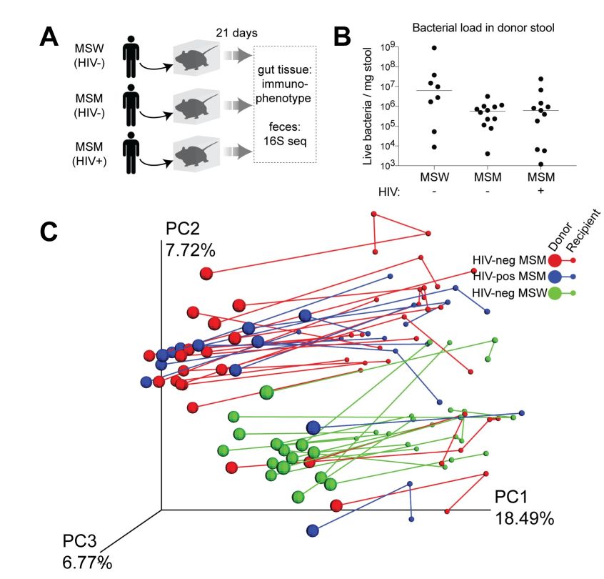 百晓生拿什么拯救你我的爱人,百晓生解析寄生虫