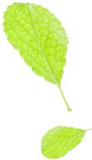 乳山白沙滩美丽乡村,怎么让村庄快速发展