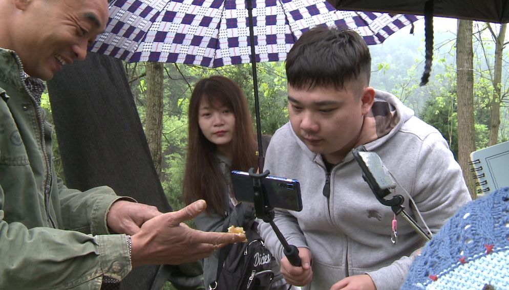 丹江口斗鱼,斗鱼之路丹江口