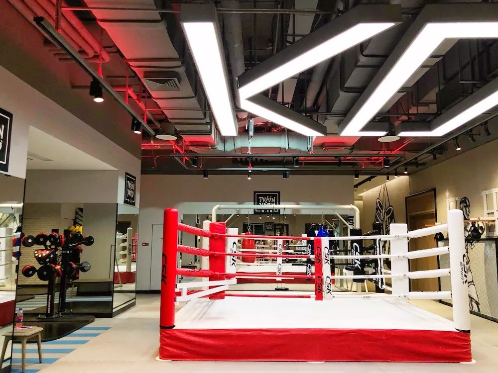 新国贸饭店套房,经济型酒店点评